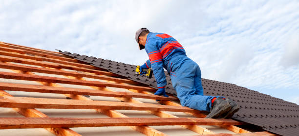 Best Sheet Metal Roofing  in Curtice, OH